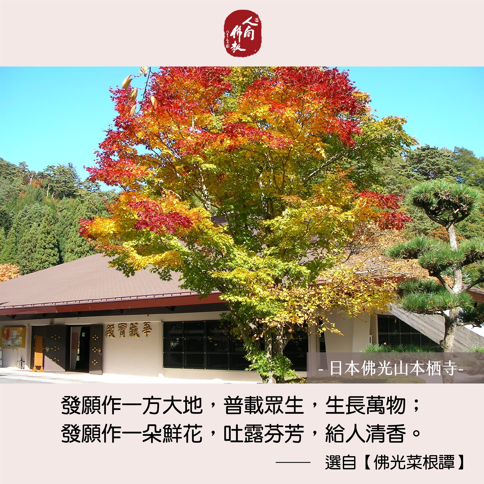 2026.03月每日圖卡